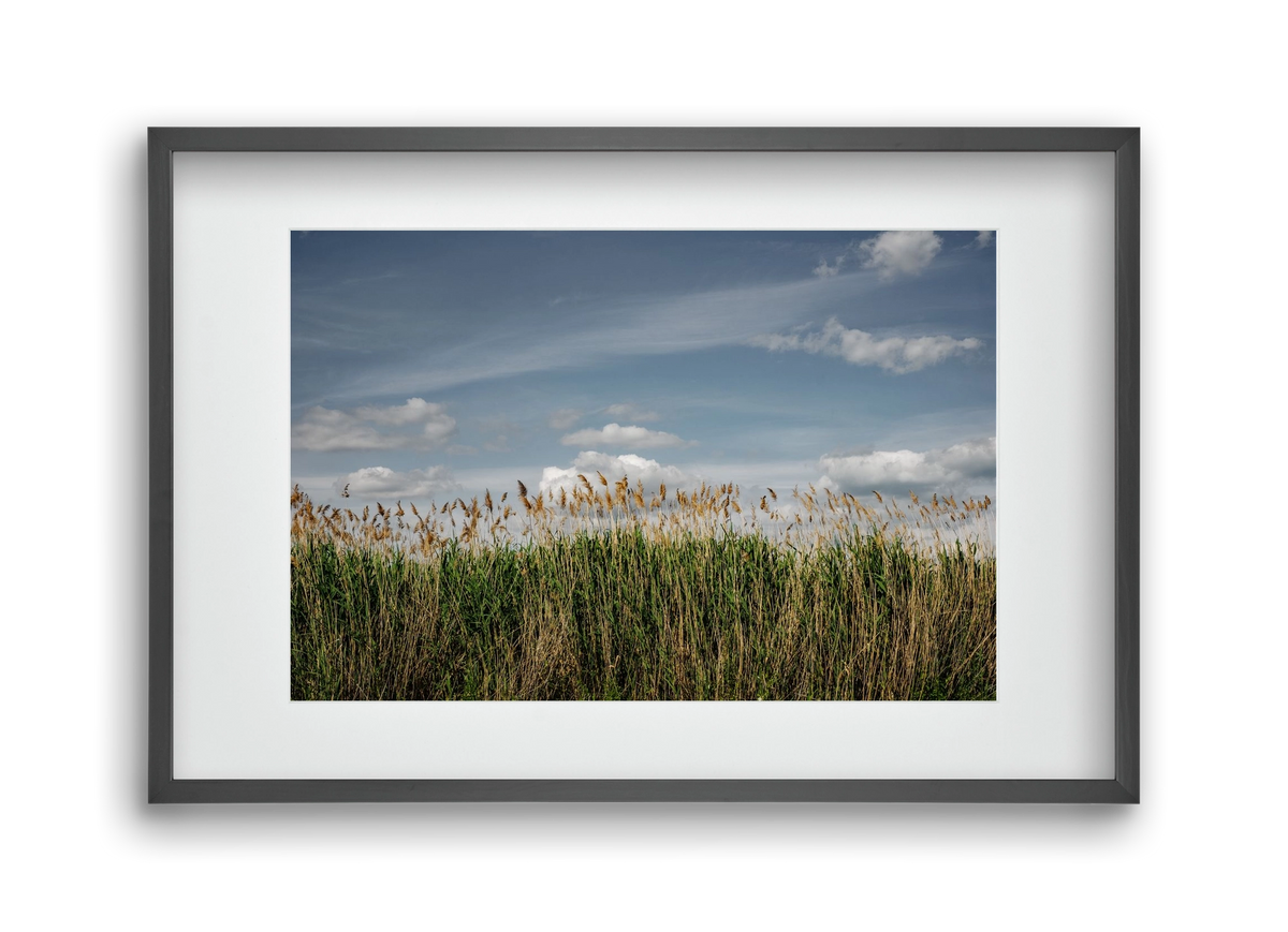 SILENCE, 45x30 cm (30x20 cm), Fekete keret, paszpartuval