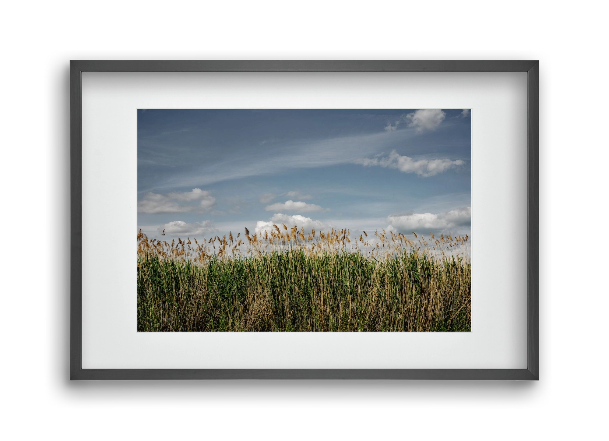 SILENCE, 45x30 cm (30x20 cm), Fekete keret, paszpartuval