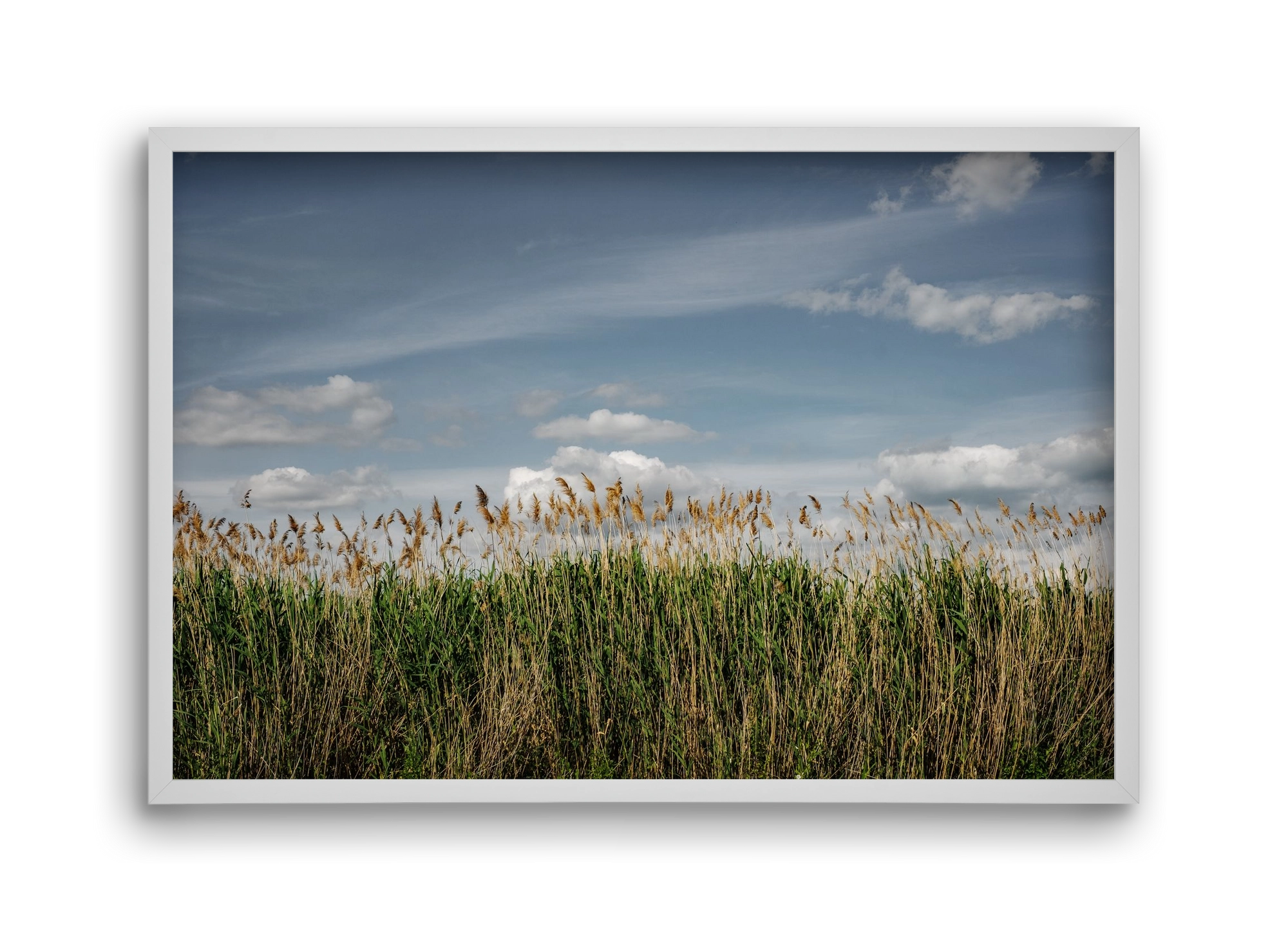 SILENCE, 45x30 cm (45x30 cm), Fehér keret
