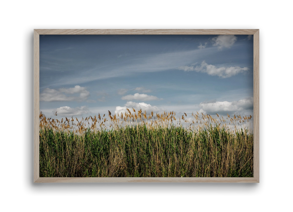 SILENCE, 45x30 cm (45x30 cm), Tölgy keret