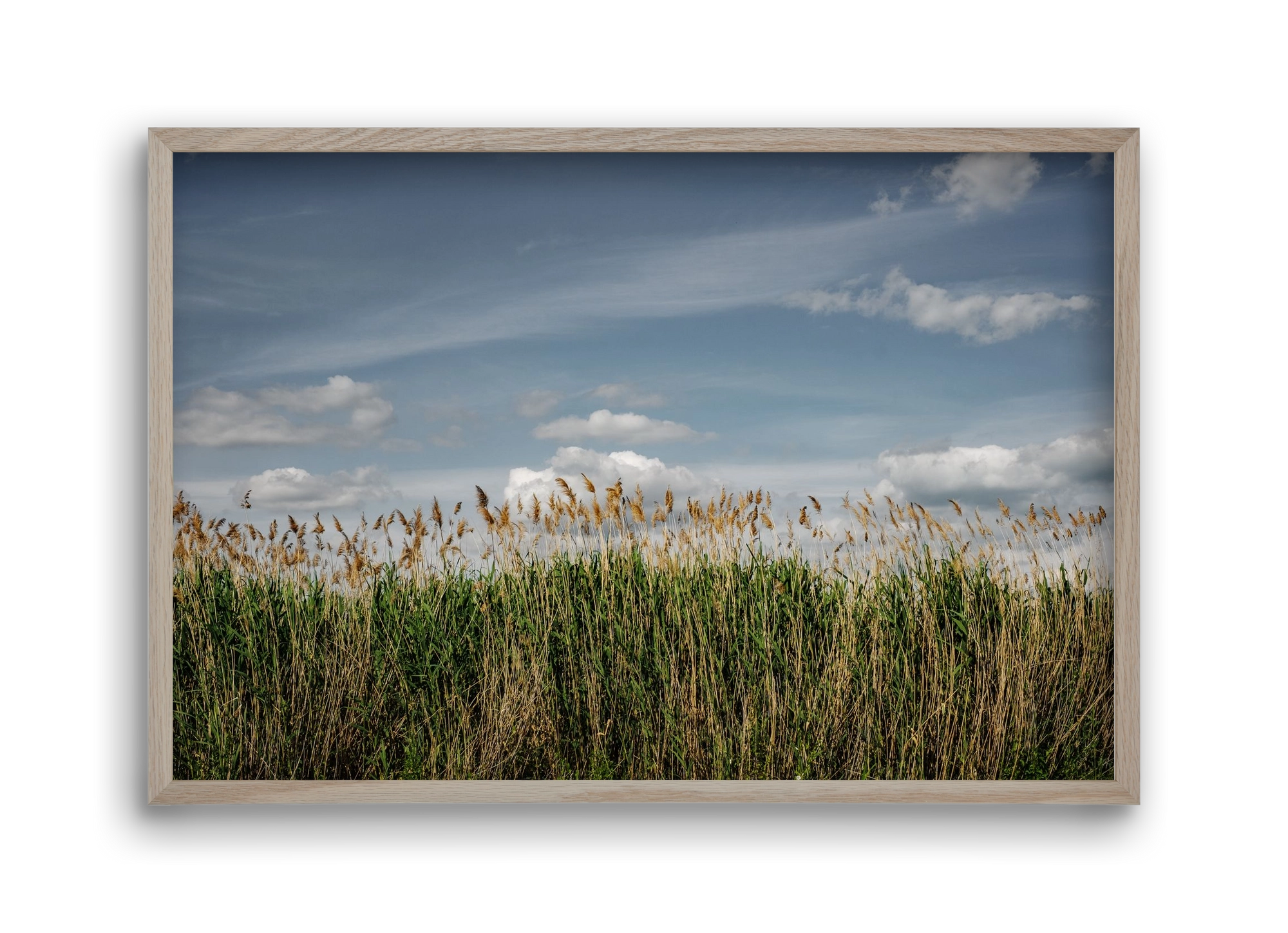 SILENCE, 45x30 cm (45x30 cm), Tölgy keret