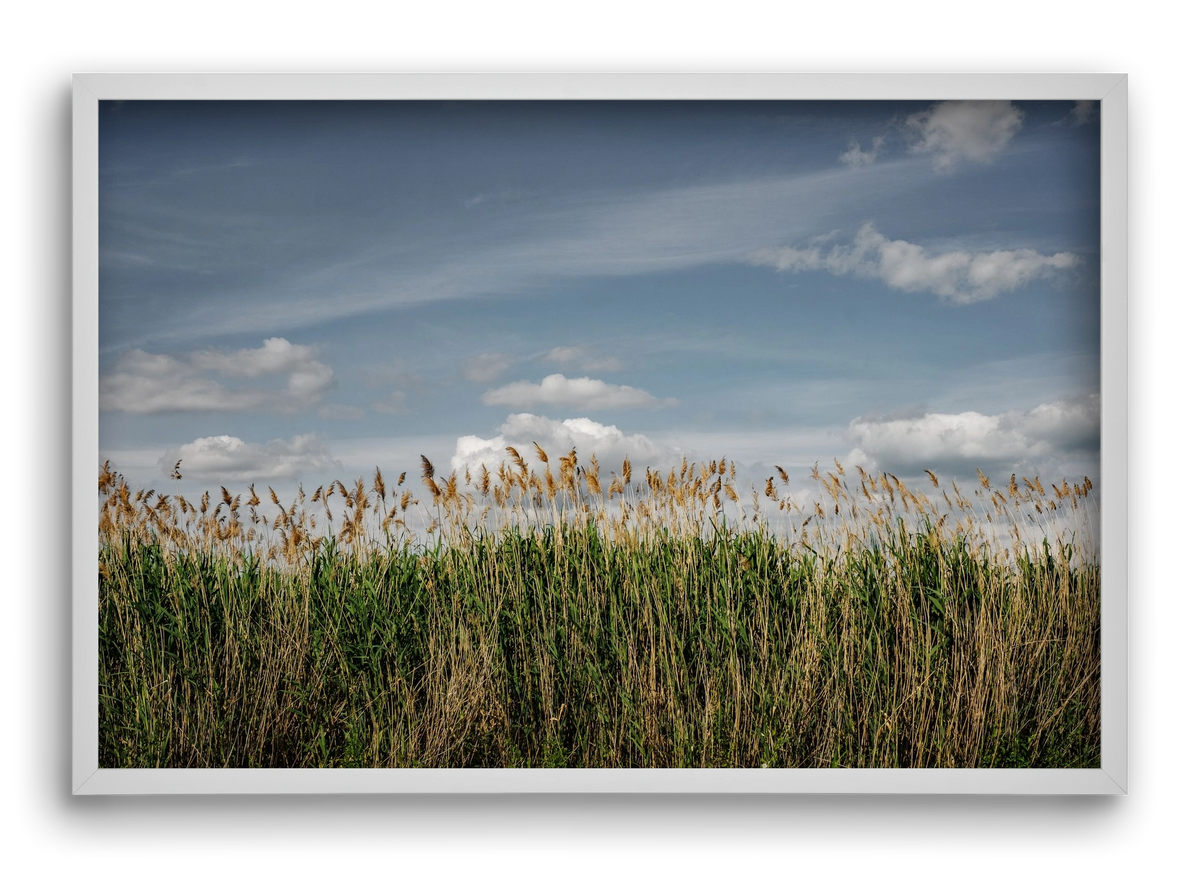 SILENCE, 60x40 cm (60x40 cm), Fehér keret