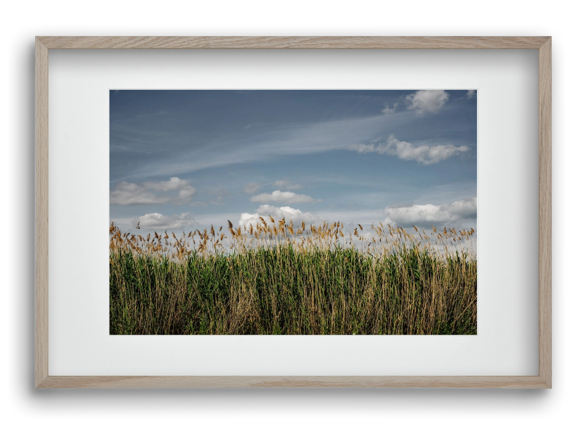 SILENCE, 60x40 cm (45x30 cm), Tölgy keret, paszpartuval