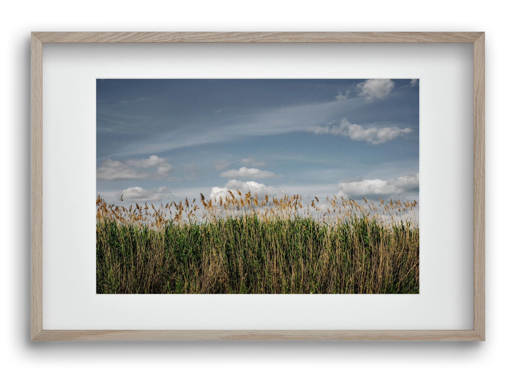 SILENCE, 60x40 cm (45x30 cm), Tölgy keret, paszpartuval