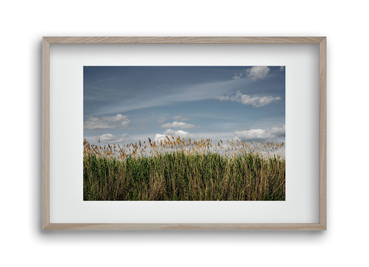 SILENCE, 45x30 cm (30x20 cm), Tölgy keret, paszpartuval