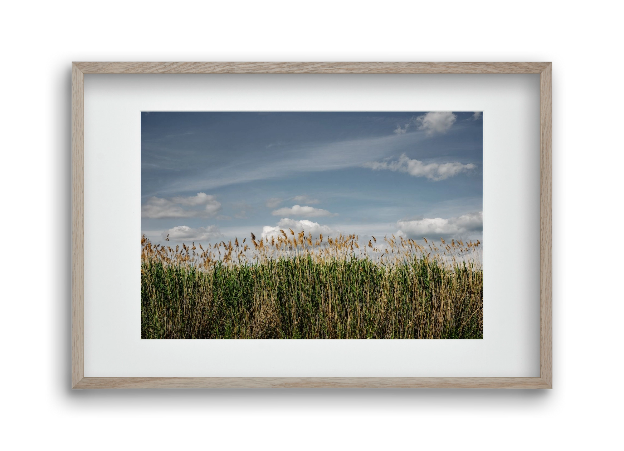 SILENCE, 45x30 cm (30x20 cm), Tölgy keret, paszpartuval