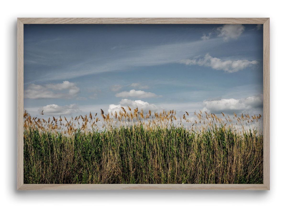 SILENCE, 60x40 cm (60x40 cm), Tölgy keret