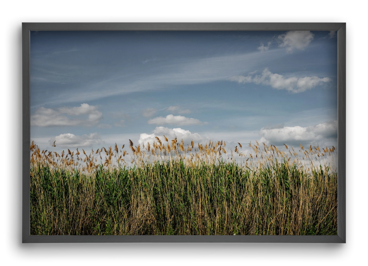 SILENCE, 60x40 cm (60x40 cm), Fekete keret