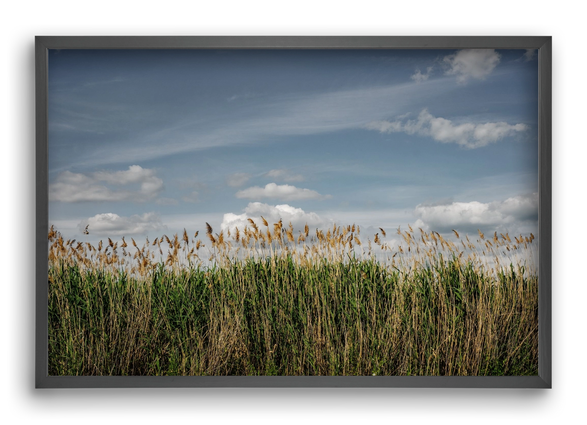 SILENCE, 60x40 cm (60x40 cm), Fekete keret