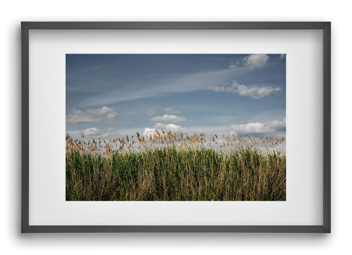 SILENCE, 60x40 cm (45x30 cm), Fekete keret, paszpartuval