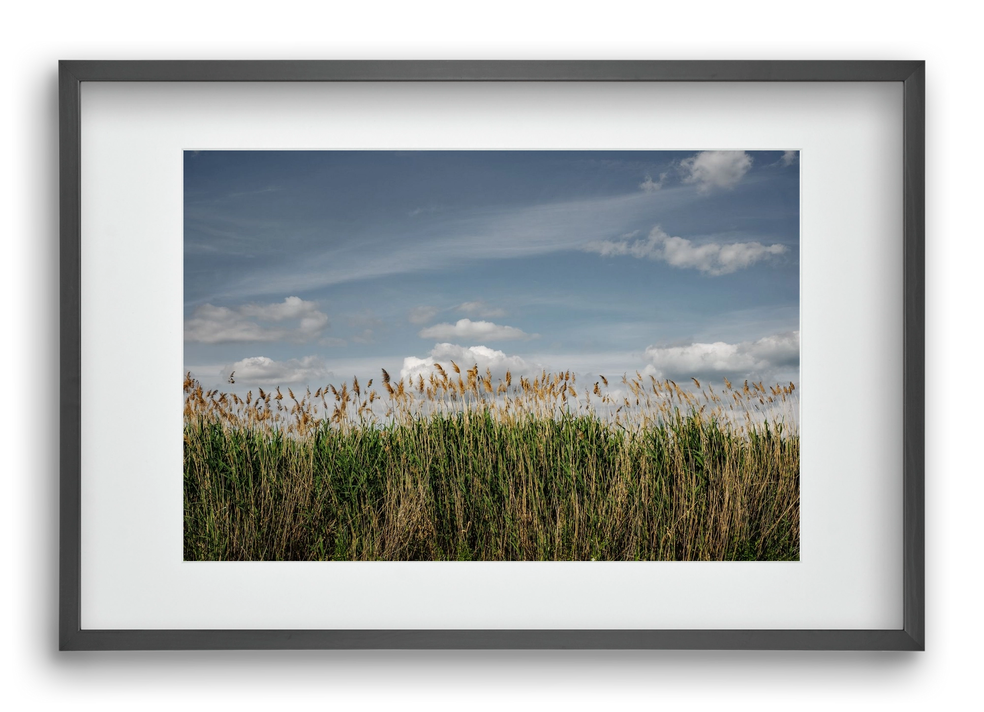 SILENCE, 60x40 cm (45x30 cm), Fekete keret, paszpartuval