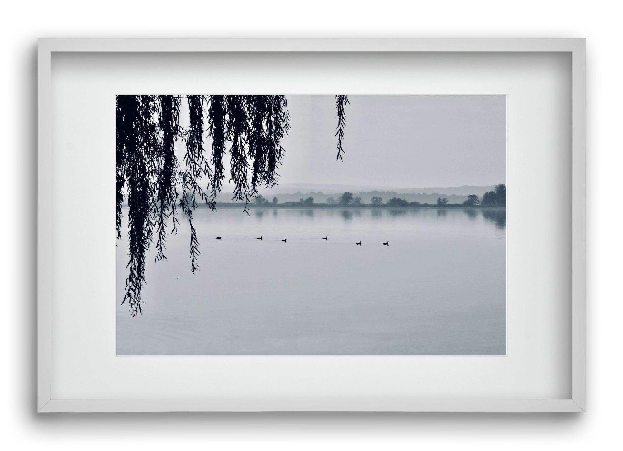 Kányavár, 60x40 cm (45x30 cm), Fehér keret, paszpartuval