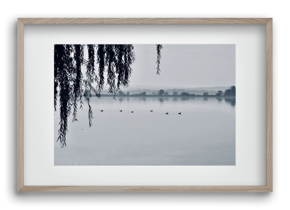 Kányavár, 60x40 cm (45x30 cm), Tölgy keret, paszpartuval