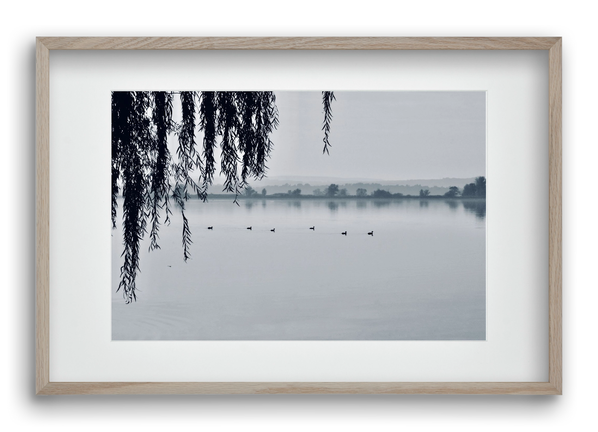 Kányavár, 60x40 cm (45x30 cm), Tölgy keret, paszpartuval