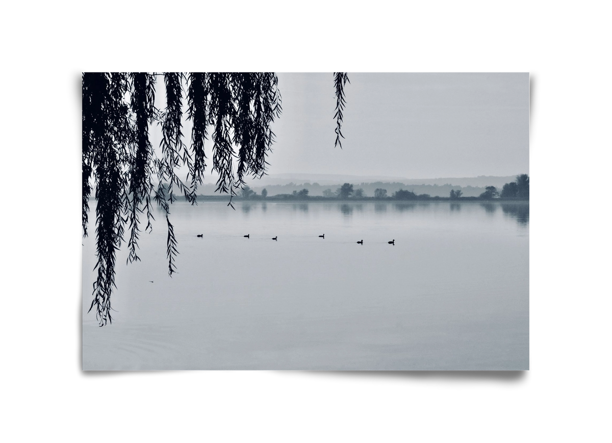 Kányavár, 45x30 cm, Keret nélkül