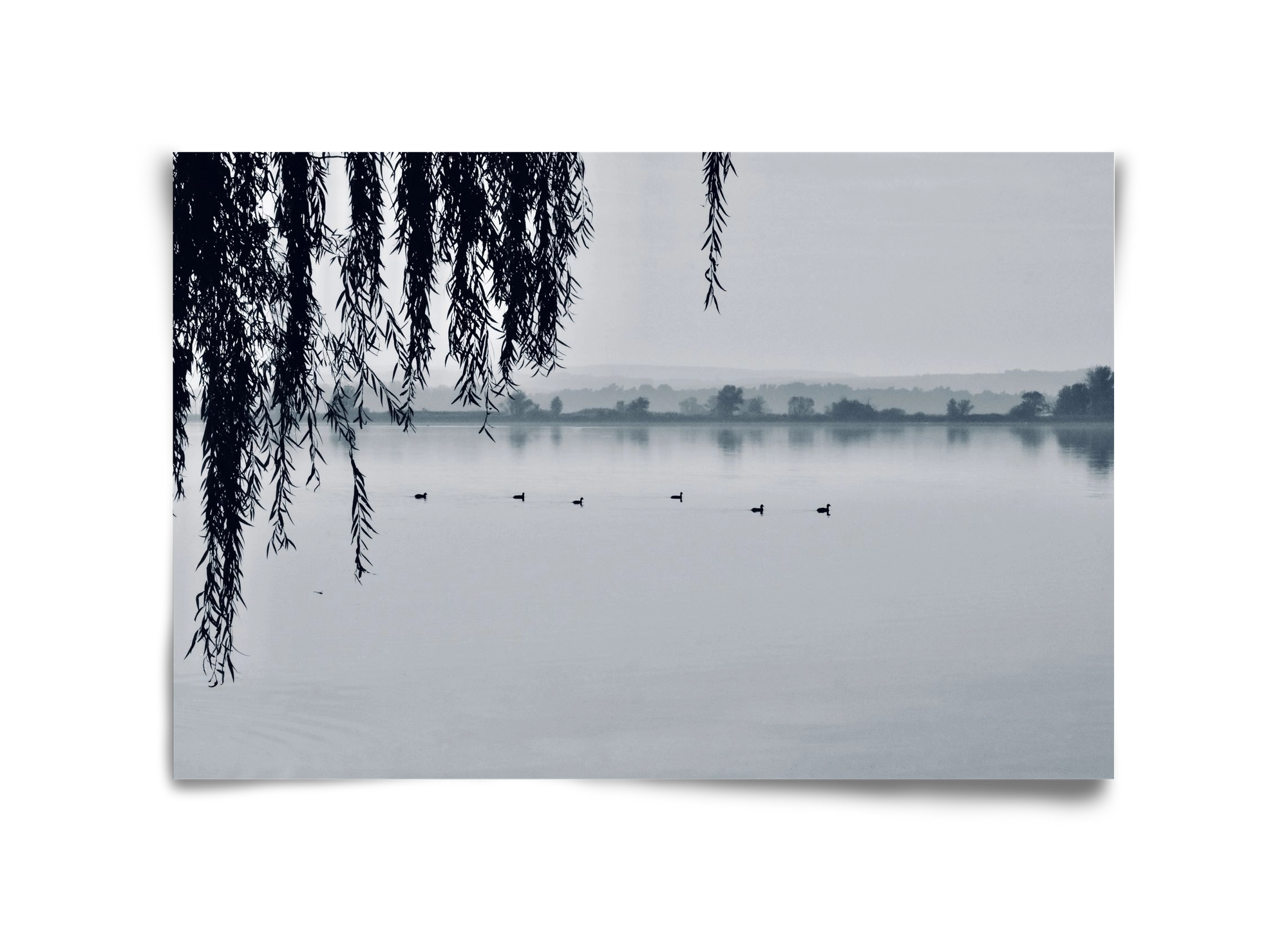 Kányavár, 45x30 cm, Keret nélkül