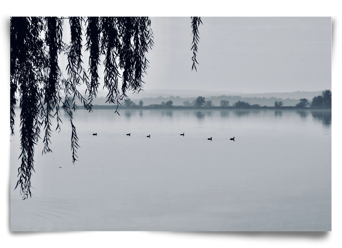 Kányavár, 90x60 cm, Keret nélkül