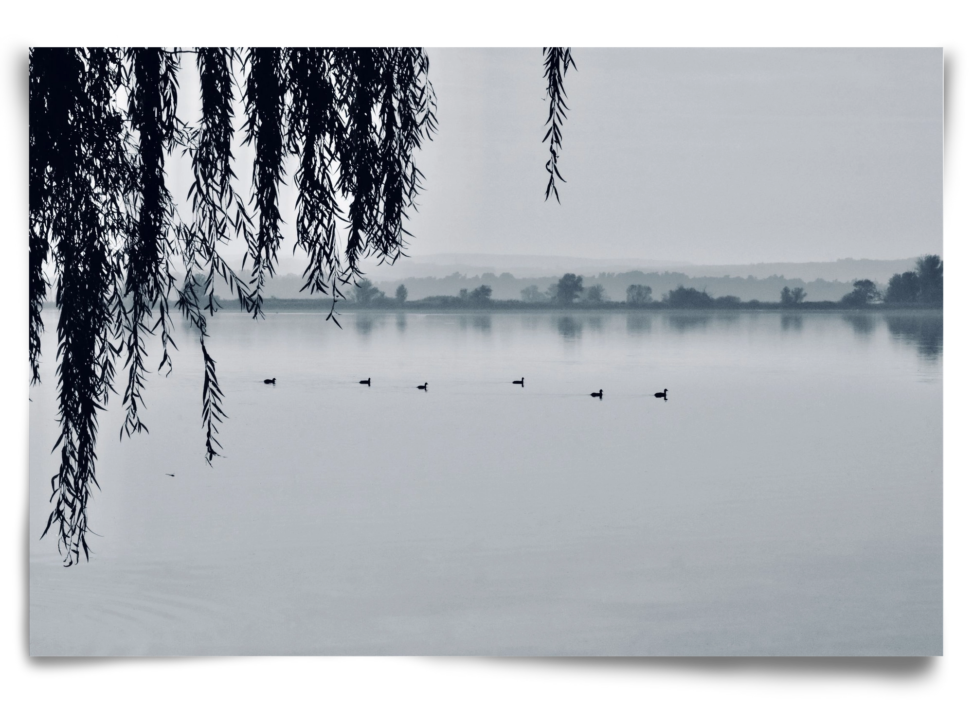 Kányavár, 90x60 cm, Keret nélkül