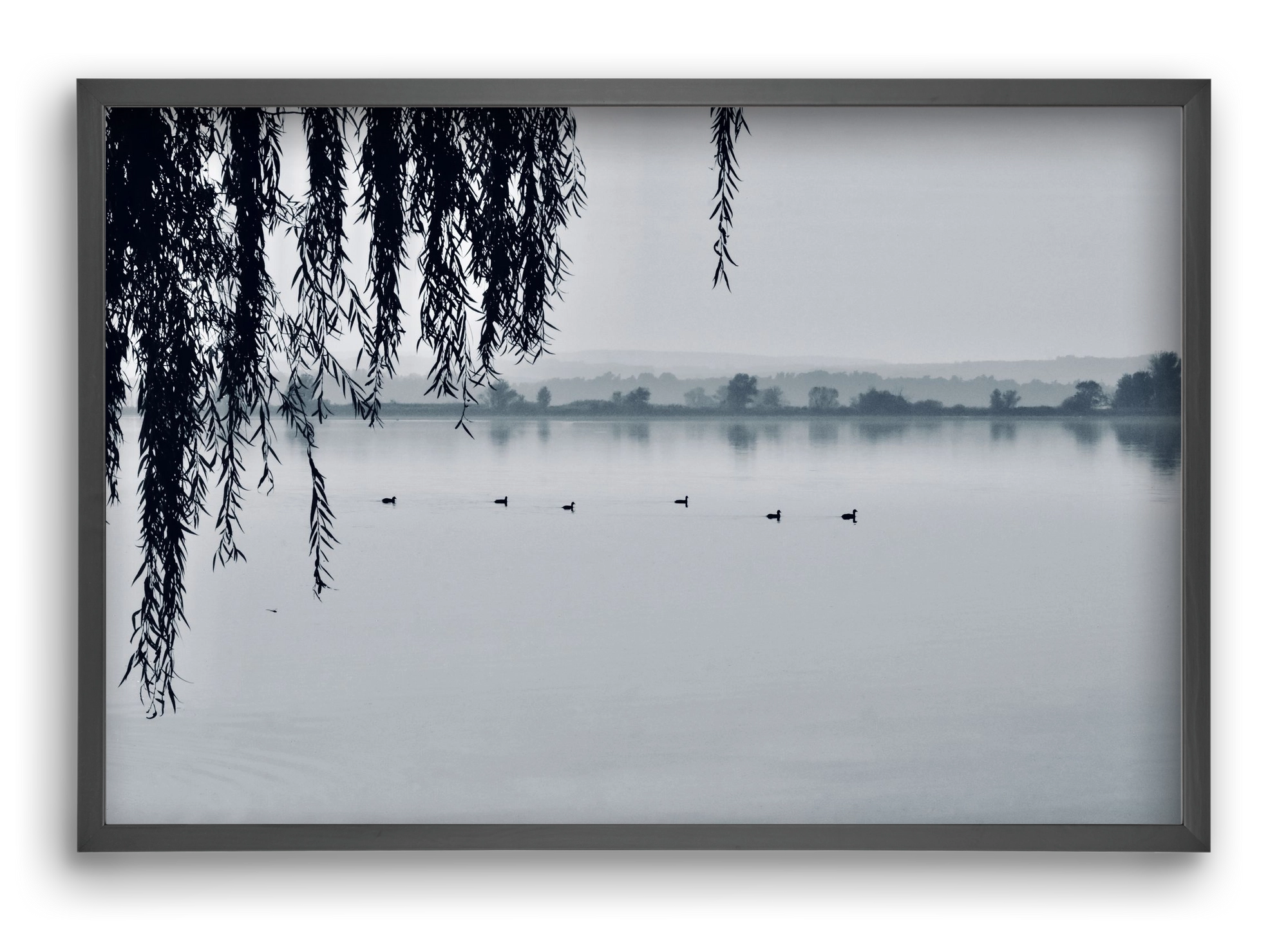 Kányavár, 60x40 cm (60x40 cm), Fekete keret