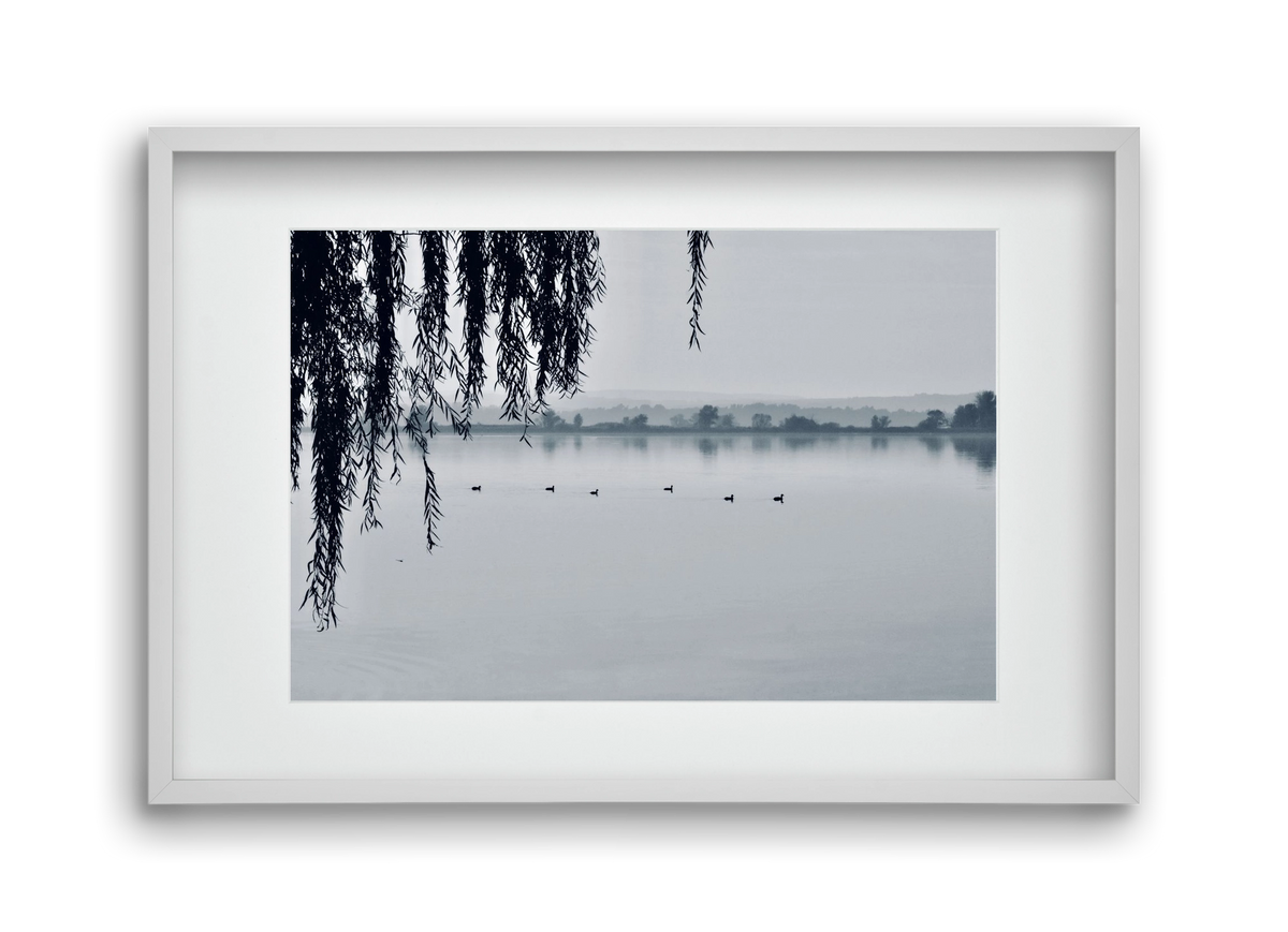 Kányavár, 45x30 cm (30x20 cm), Fehér keret, paszpartuval