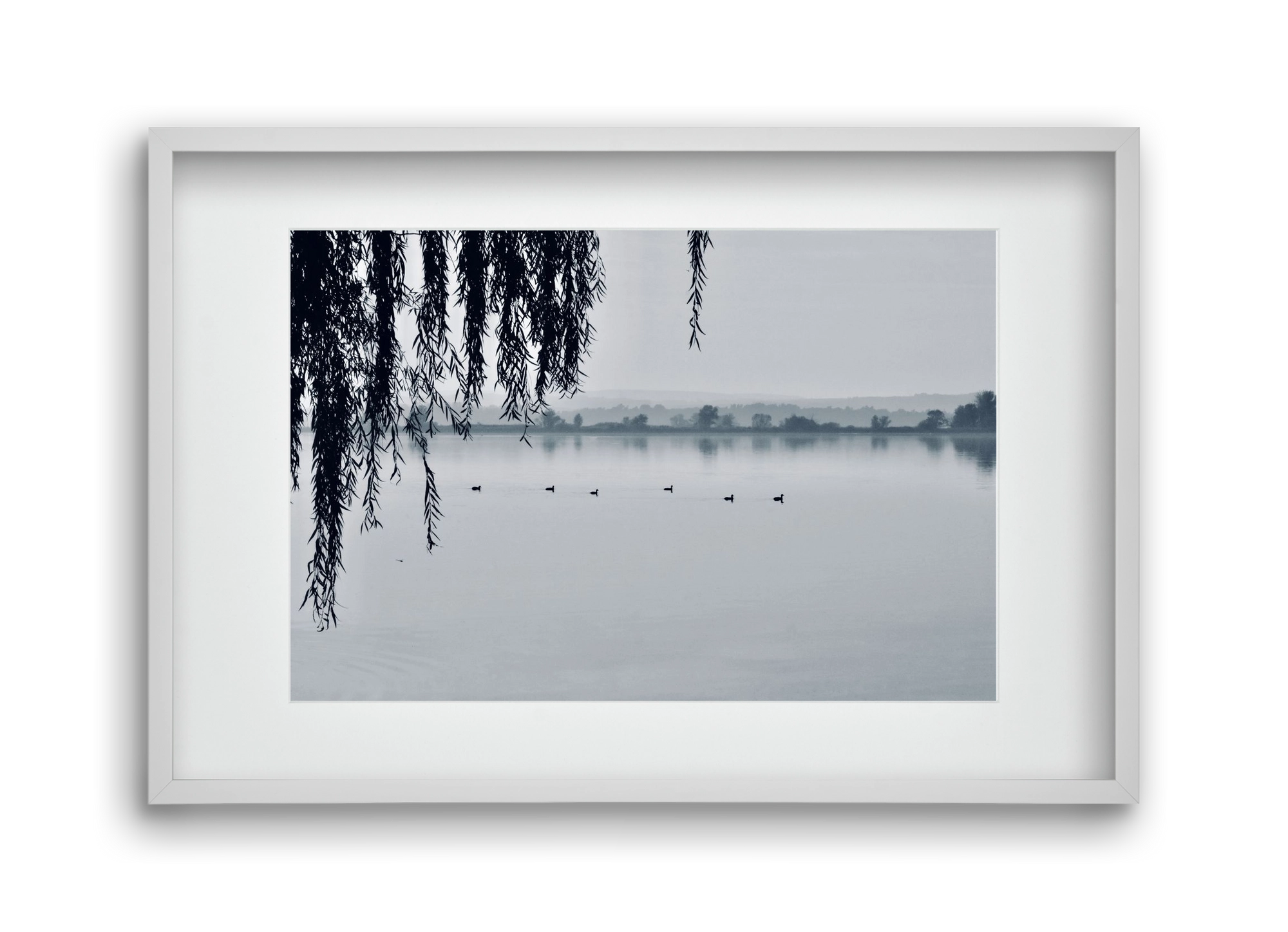 Kányavár, 45x30 cm (30x20 cm), Fehér keret, paszpartuval