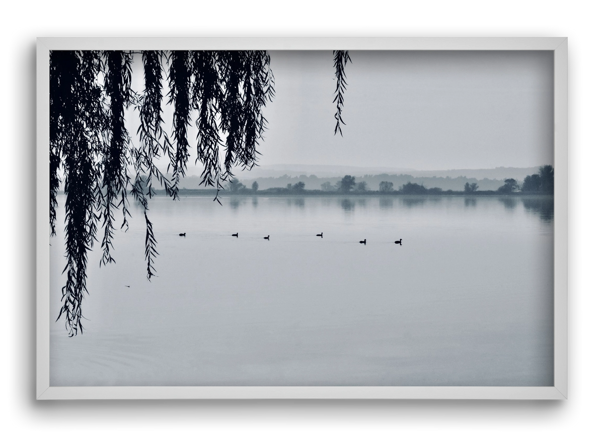 Kányavár, 60x40 cm (60x40 cm), Fehér keret