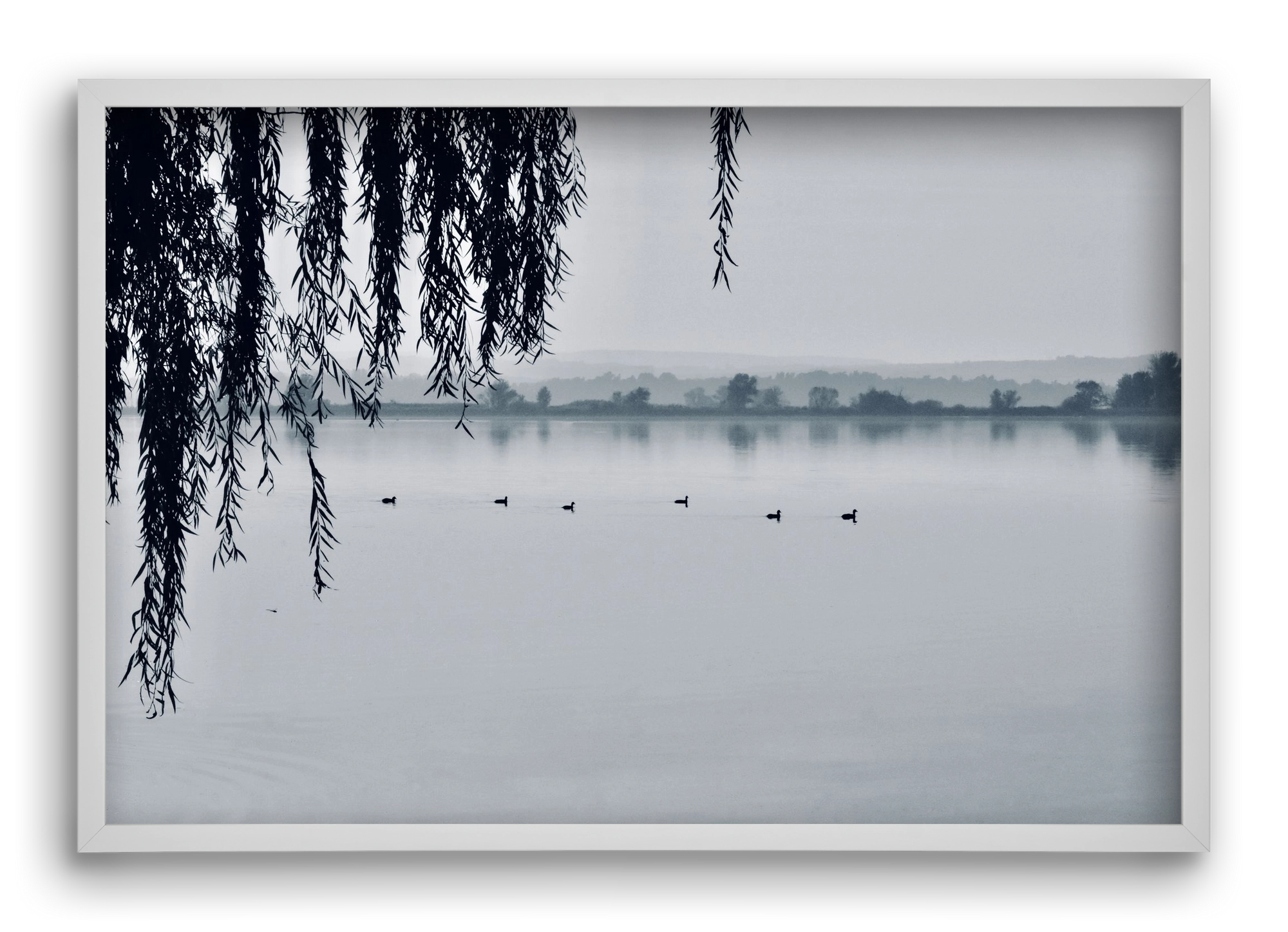 Kányavár, 60x40 cm (60x40 cm), Fehér keret