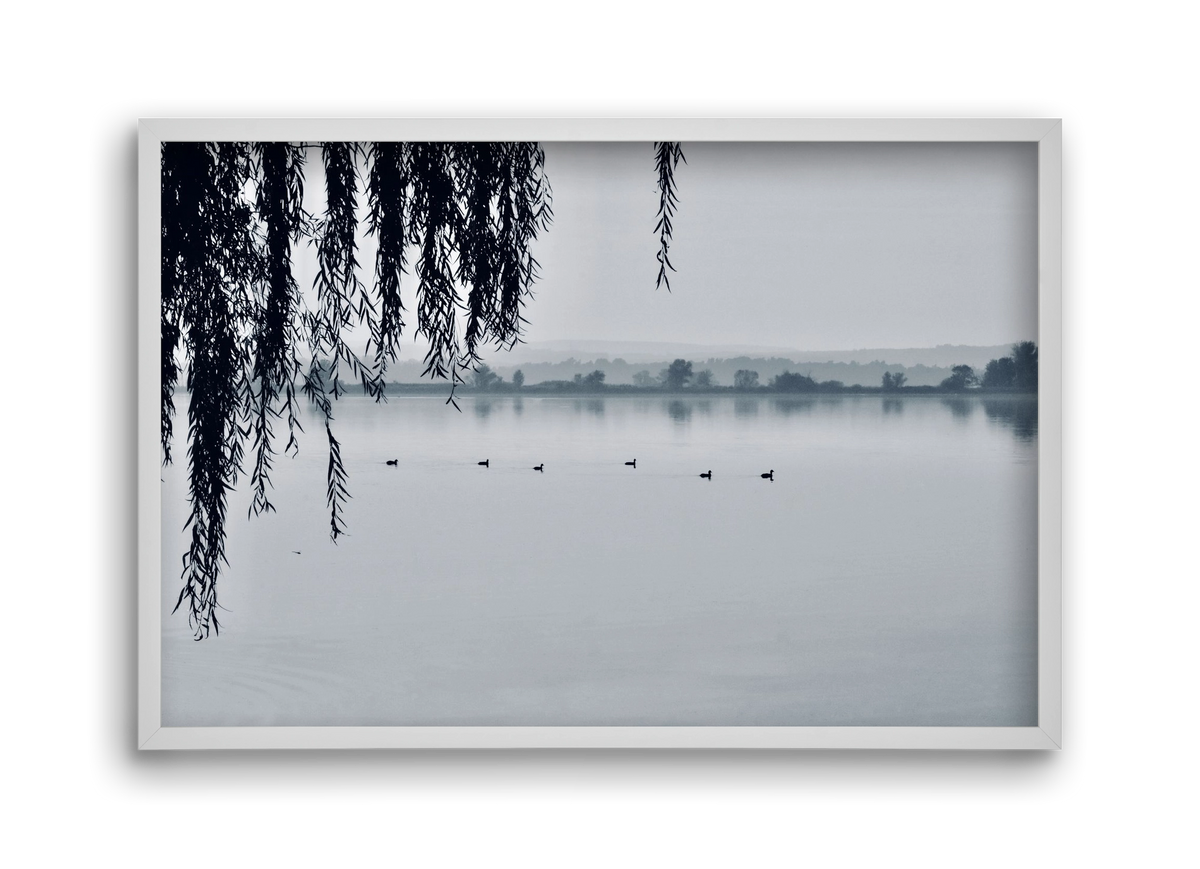 Kányavár, 45x30 cm (45x30 cm), Fehér keret