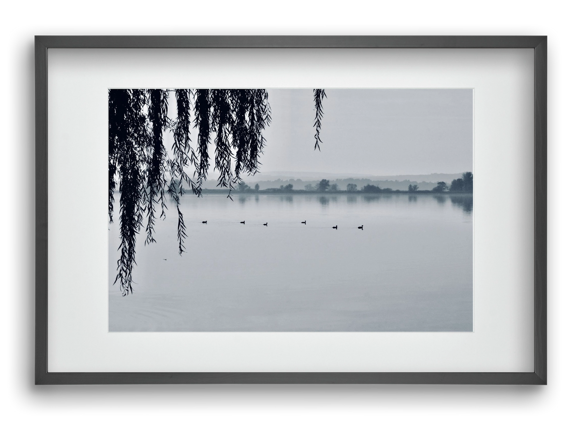 Kányavár, 60x40 cm (45x30 cm), Fekete keret, paszpartuval