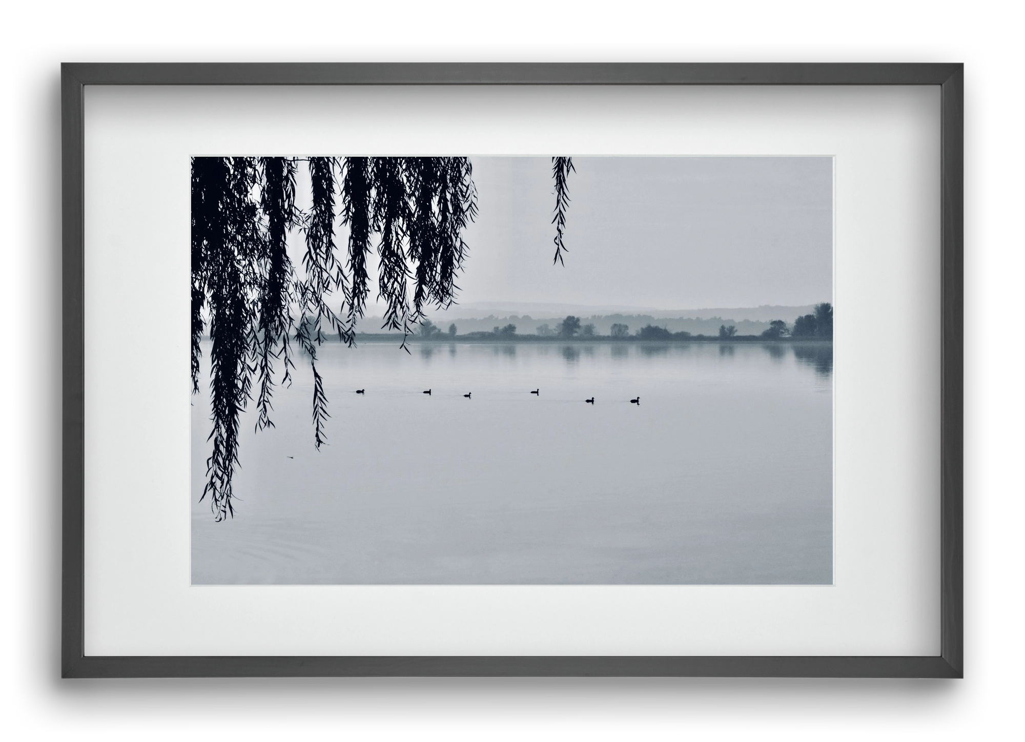 Kányavár, 60x40 cm (45x30 cm), Fekete keret, paszpartuval