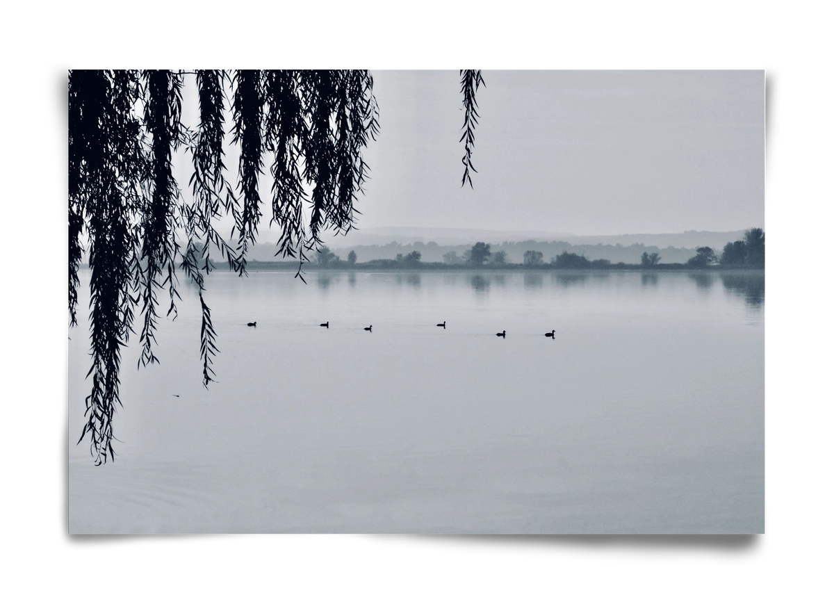 Kányavár, 60x40 cm, Keret nélkül