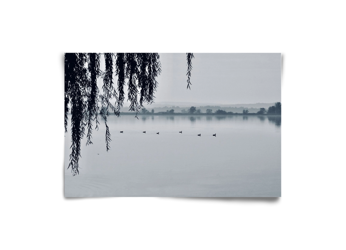 Kányavár, 30x20 cm, Keret nélkül