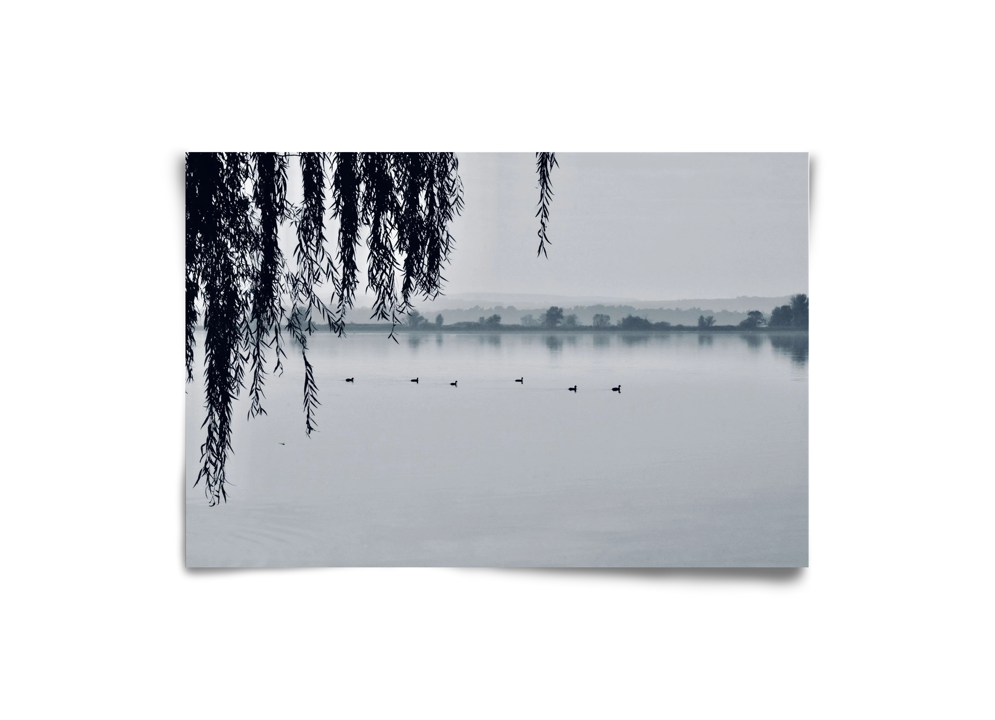 Kányavár, 30x20 cm, Keret nélkül