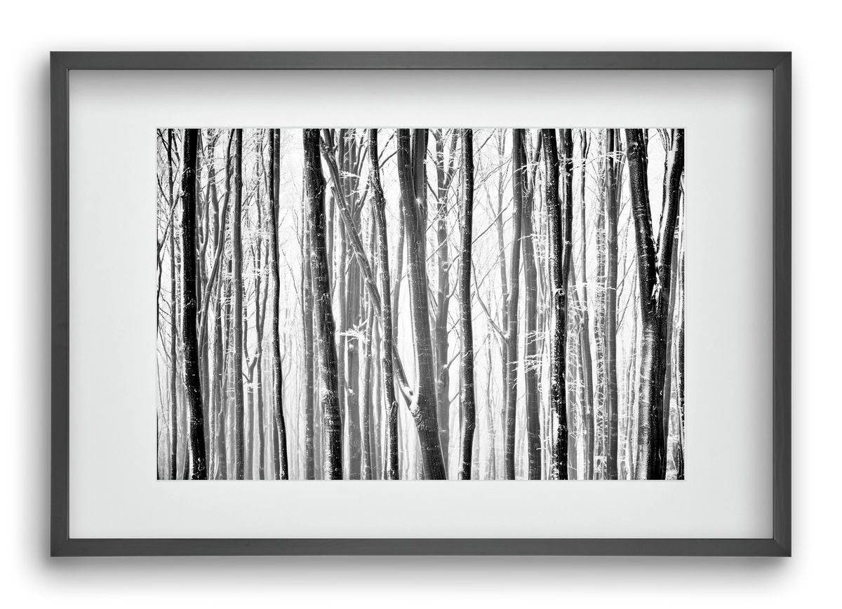 VERTICAL, 60x40 cm (45x30 cm), Fekete keret, paszpartuval