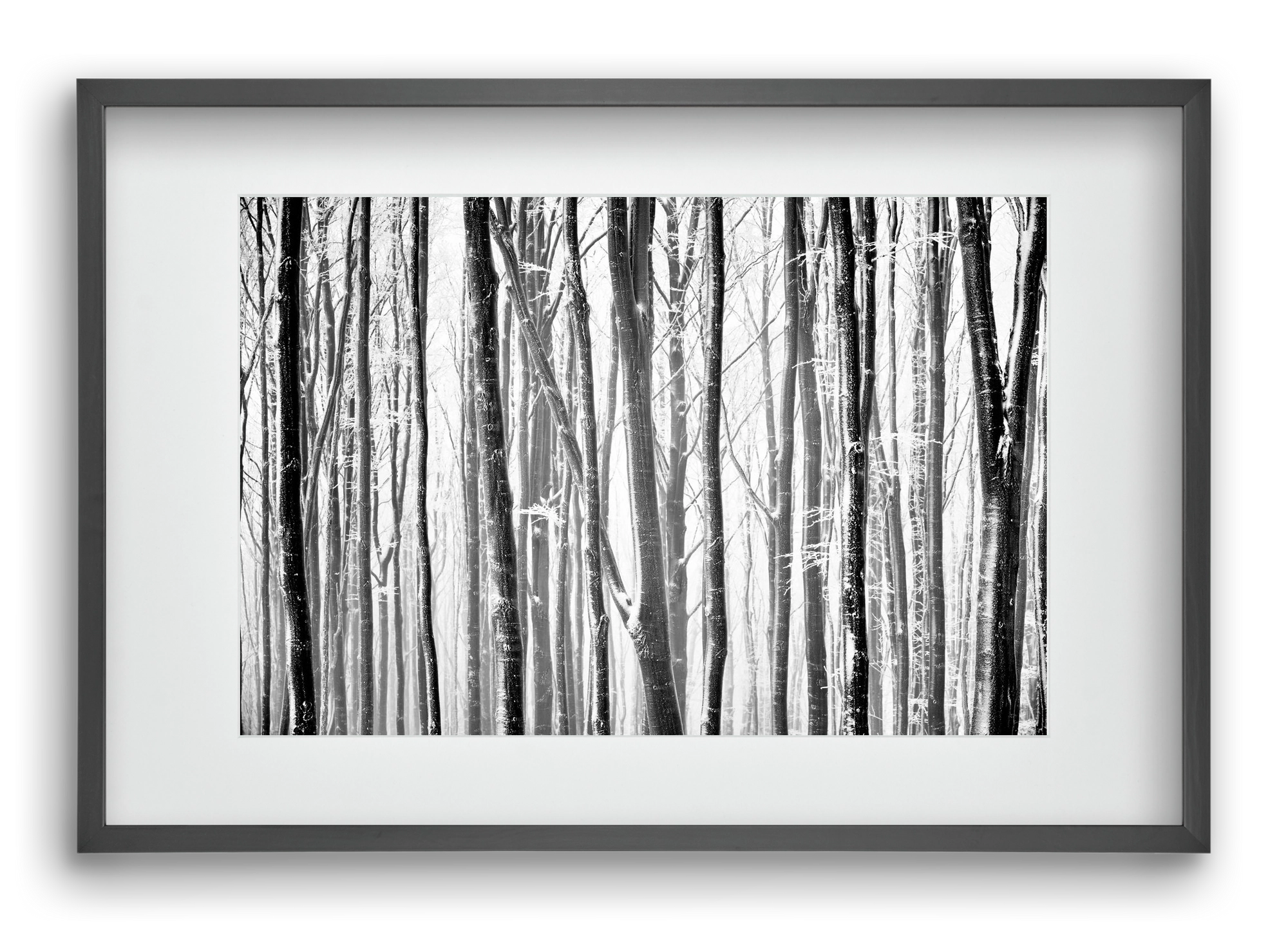 VERTICAL, 60x40 cm (45x30 cm), Fekete keret, paszpartuval