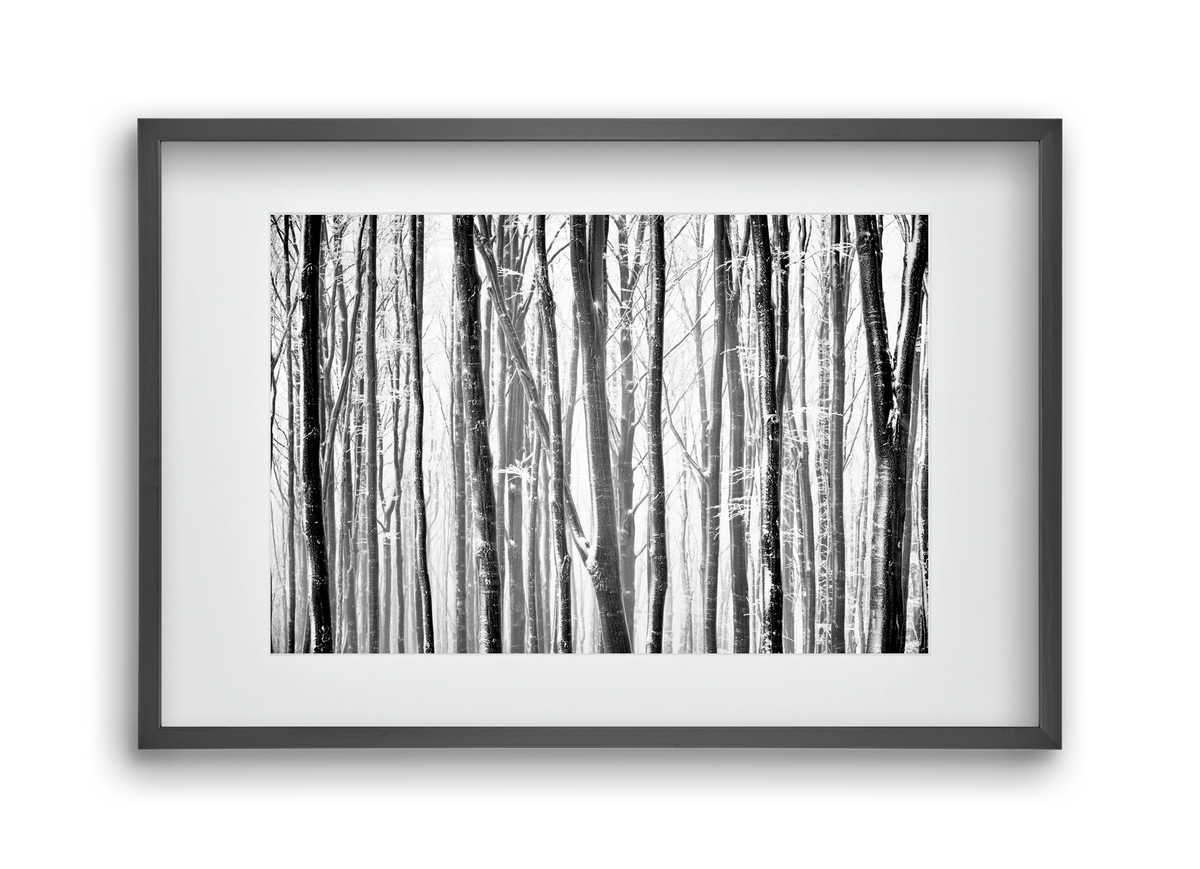 VERTICAL, 45x30 cm (30x20 cm), Fekete keret, paszpartuval