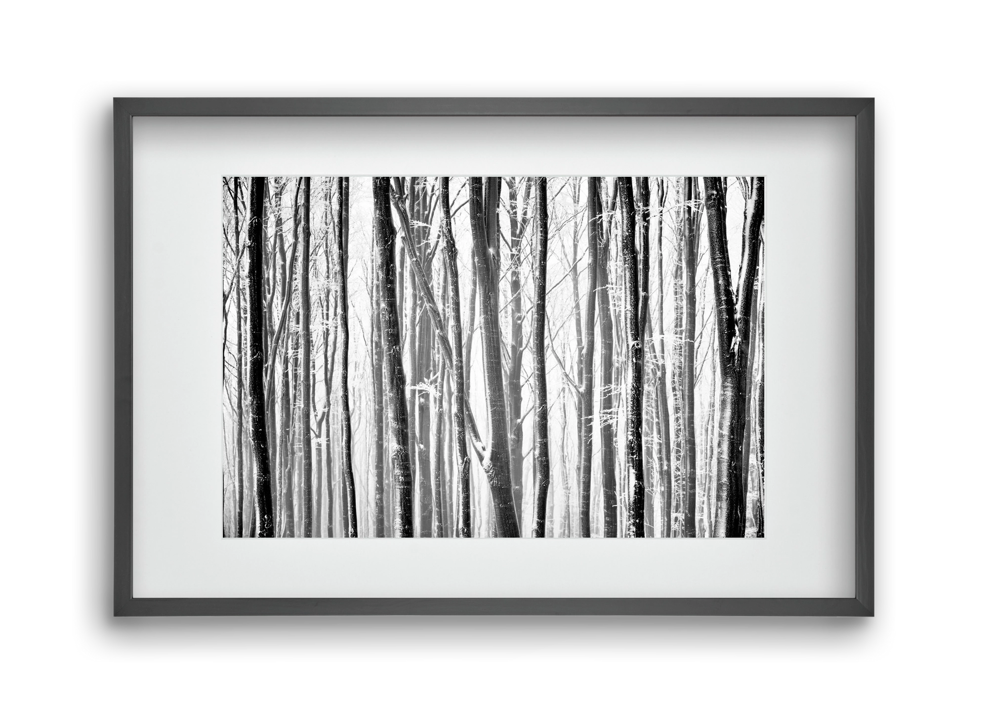 VERTICAL, 45x30 cm (30x20 cm), Fekete keret, paszpartuval