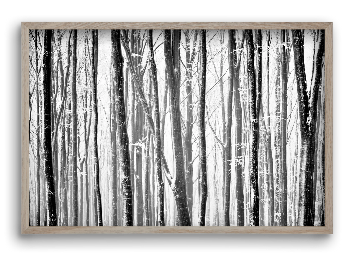 VERTICAL, 60x40 cm (60x40 cm), Tölgy keret