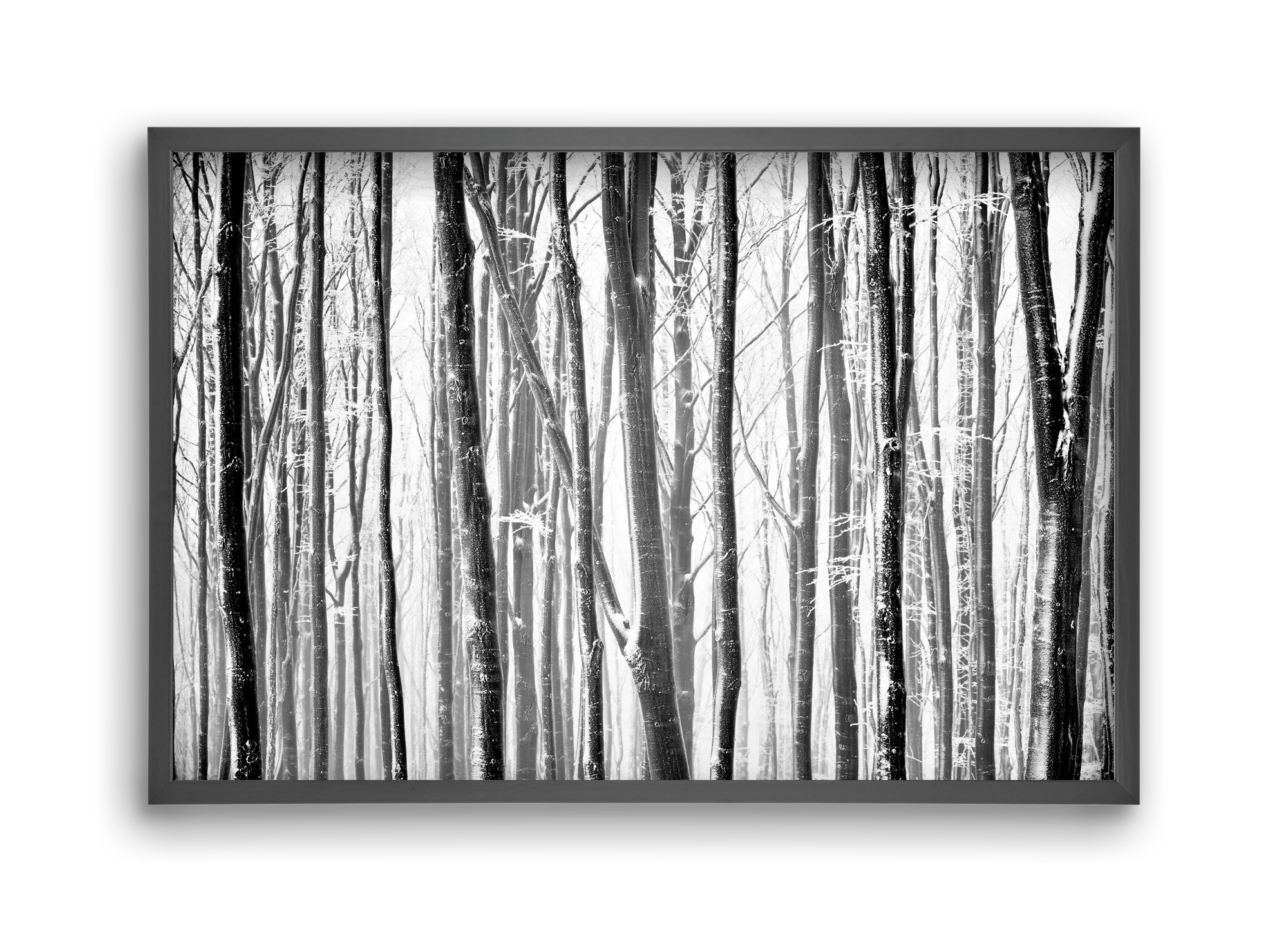 VERTICAL, 45x30 cm (45x30 cm), Fekete keret