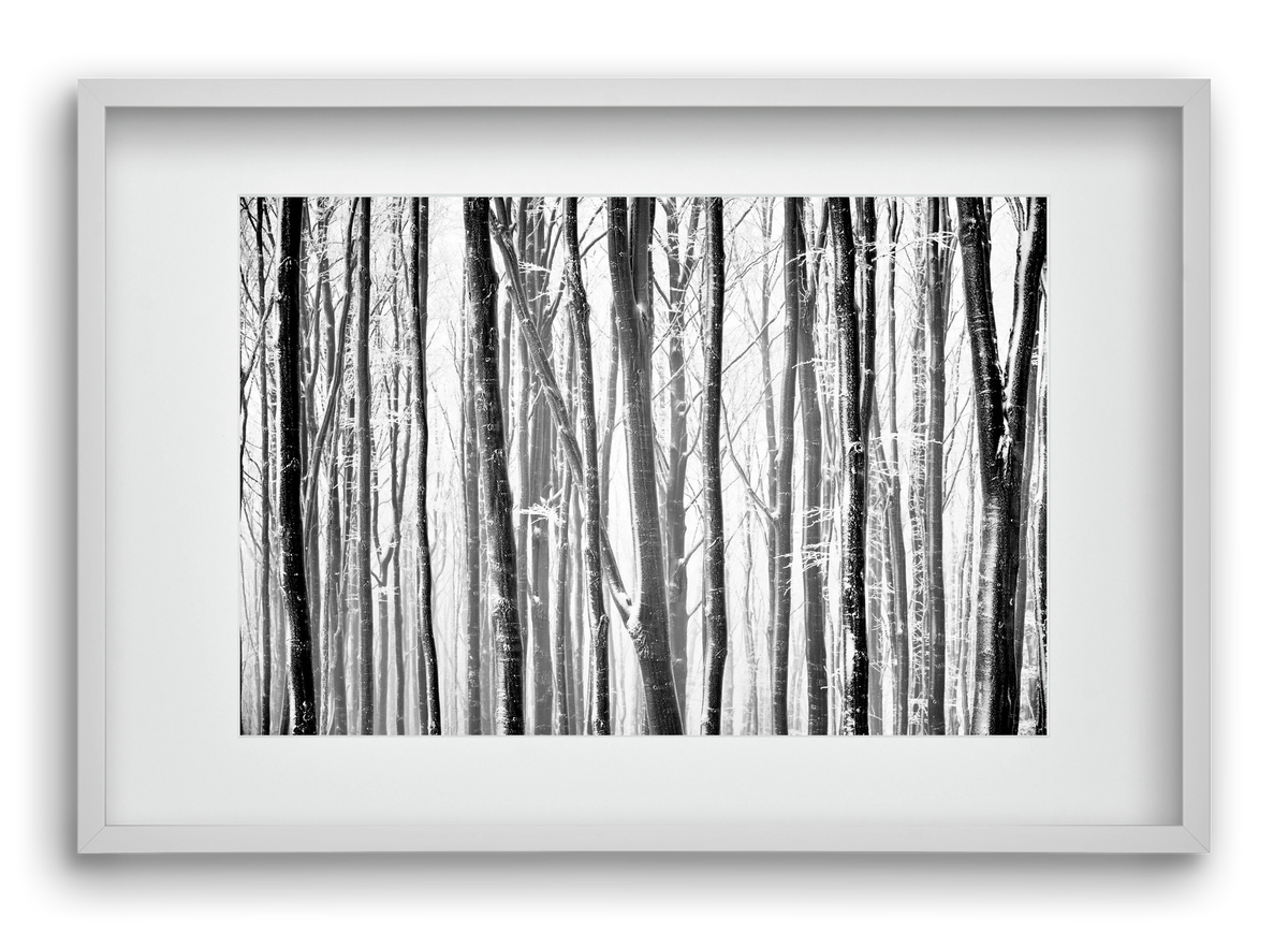 VERTICAL, 60x40 cm (45x30 cm), Fehér keret, paszpartuval