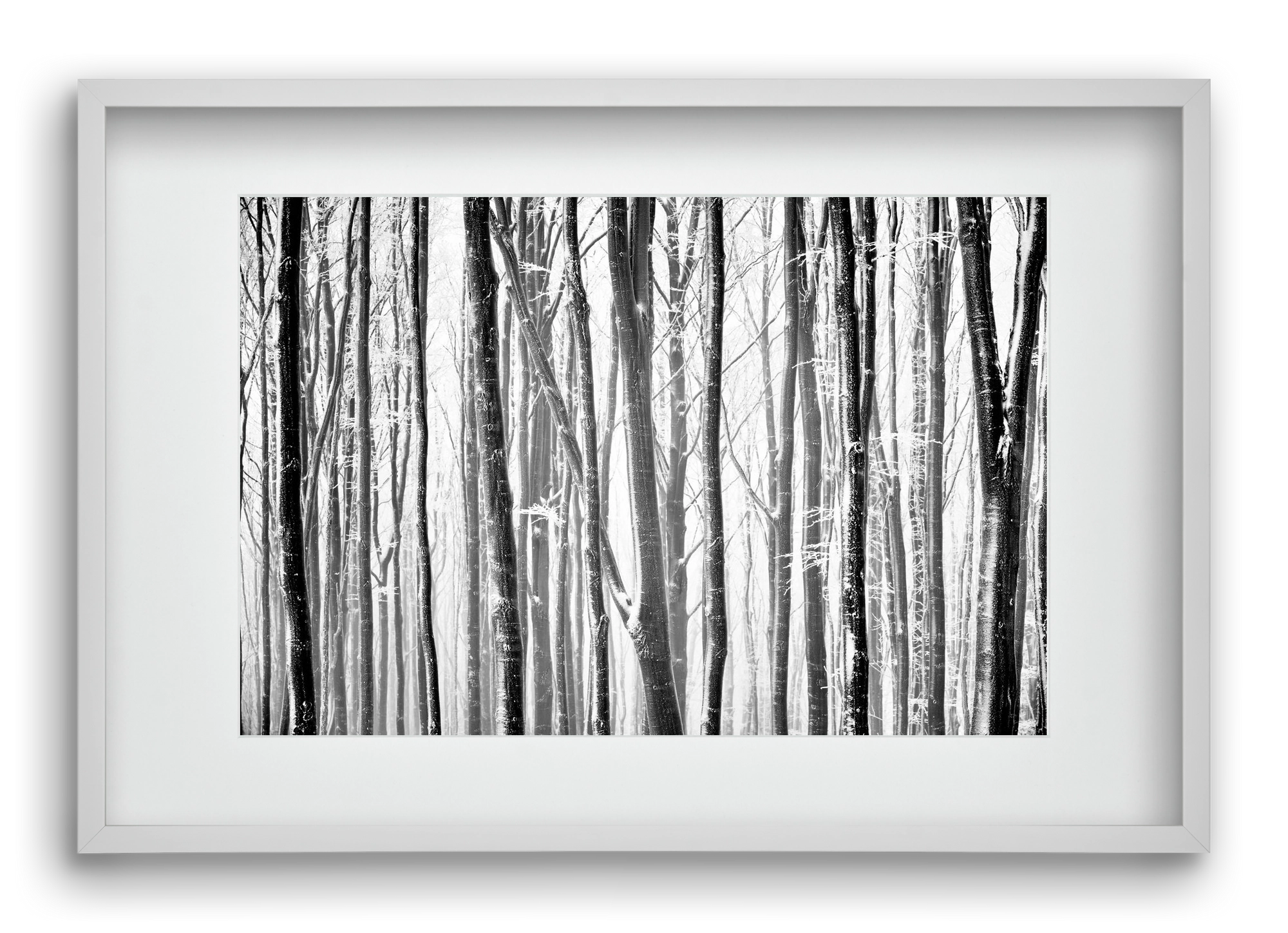 VERTICAL, 60x40 cm (45x30 cm), Fehér keret, paszpartuval
