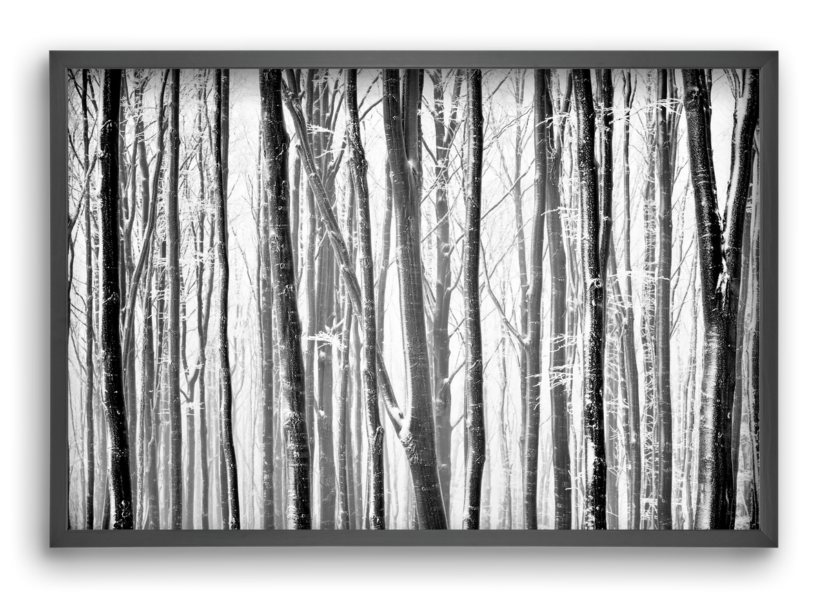 VERTICAL, 60x40 cm (60x40 cm), Fekete keret