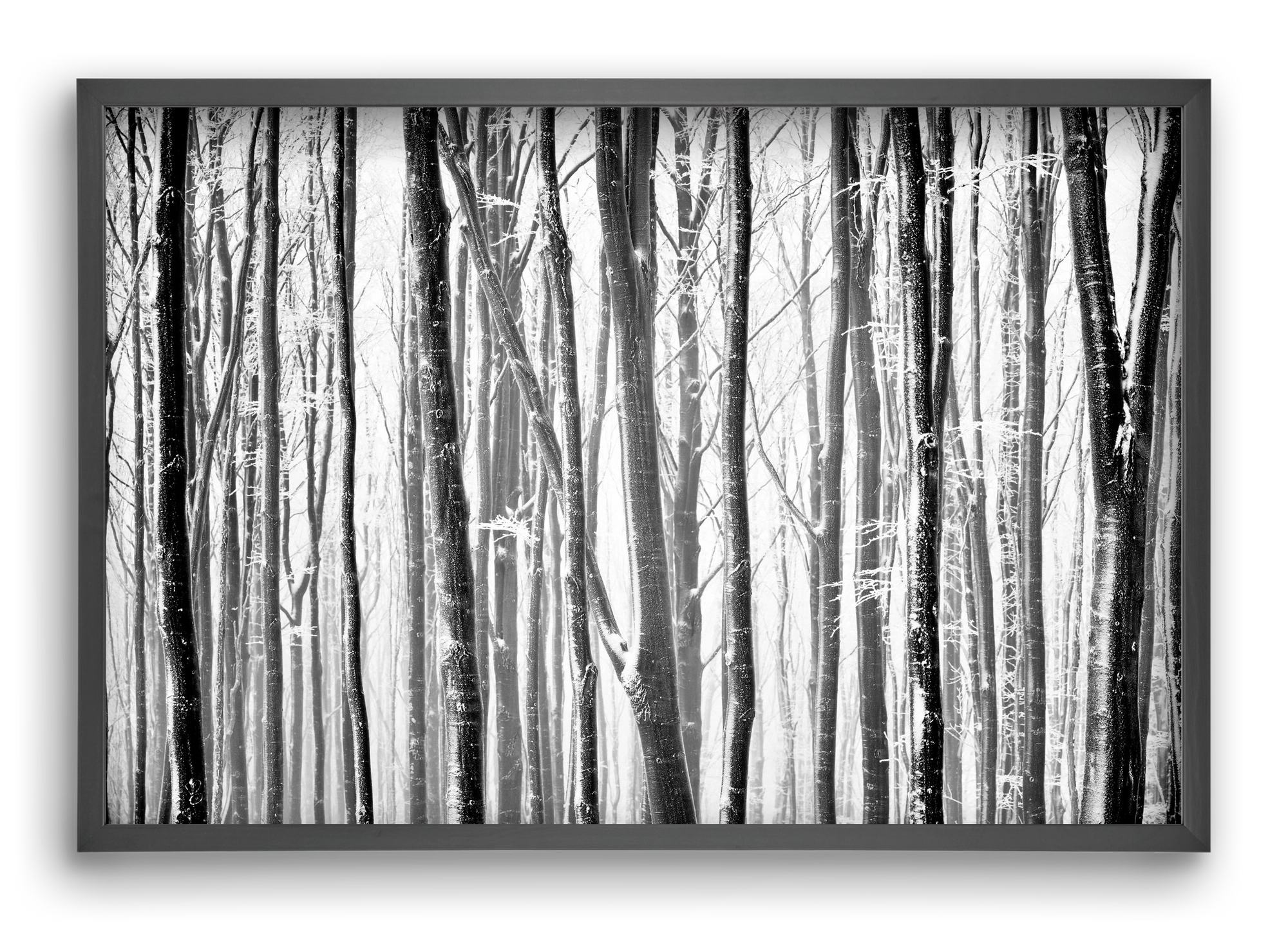 VERTICAL, 60x40 cm (60x40 cm), Fekete keret