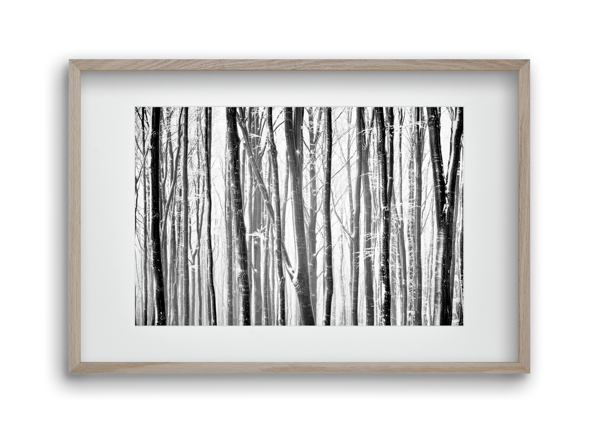 VERTICAL, 45x30 cm (30x20 cm), Tölgy keret, paszpartuval