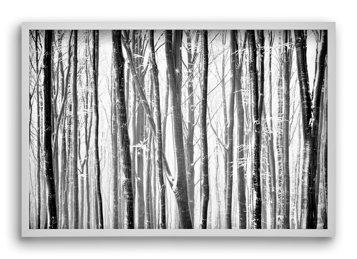 VERTICAL, 60x40 cm (60x40 cm), Fehér keret