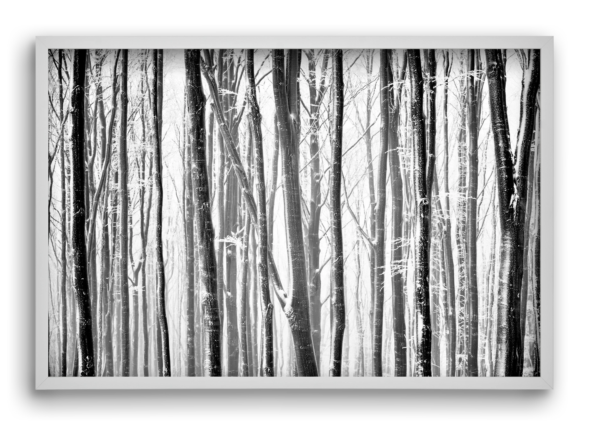 VERTICAL, 60x40 cm (60x40 cm), Fehér keret