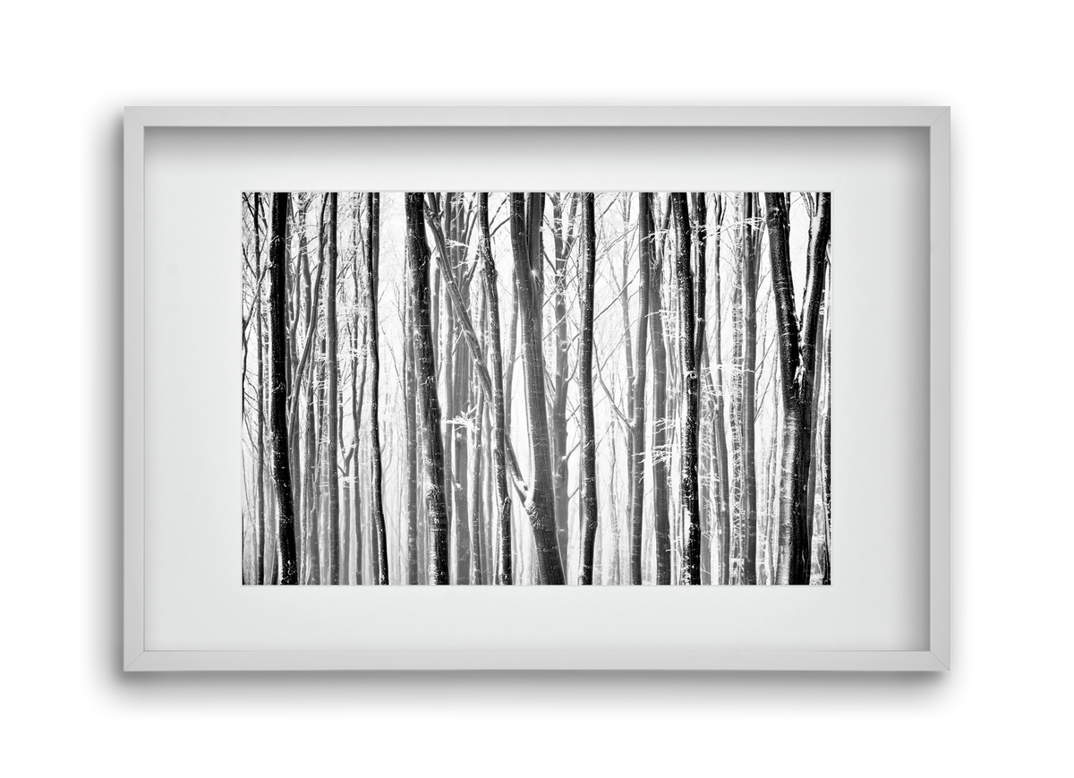 VERTICAL, 45x30 cm (30x20 cm), Fehér keret, paszpartuval