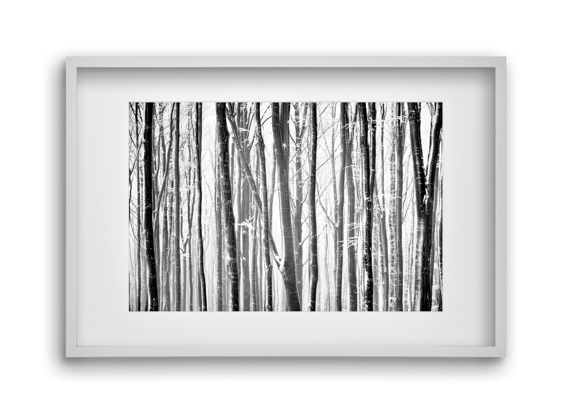 VERTICAL, 45x30 cm (30x20 cm), Fehér keret, paszpartuval