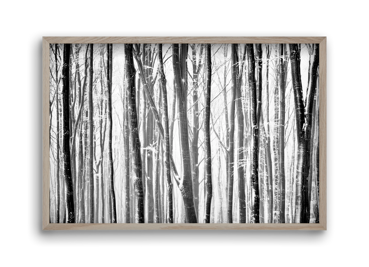 VERTICAL, 45x30 cm (45x30 cm), Tölgy keret