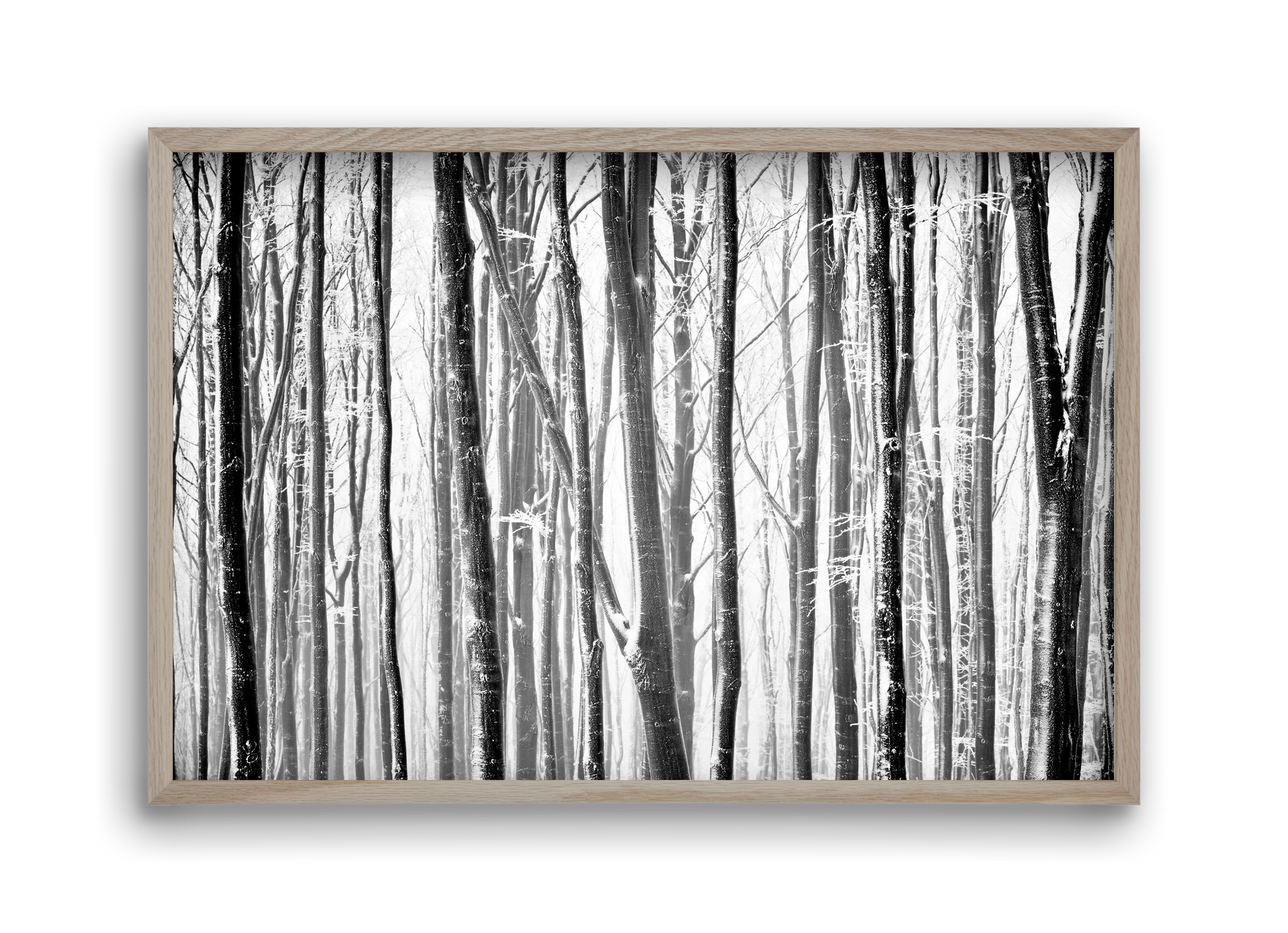 VERTICAL, 45x30 cm (45x30 cm), Tölgy keret